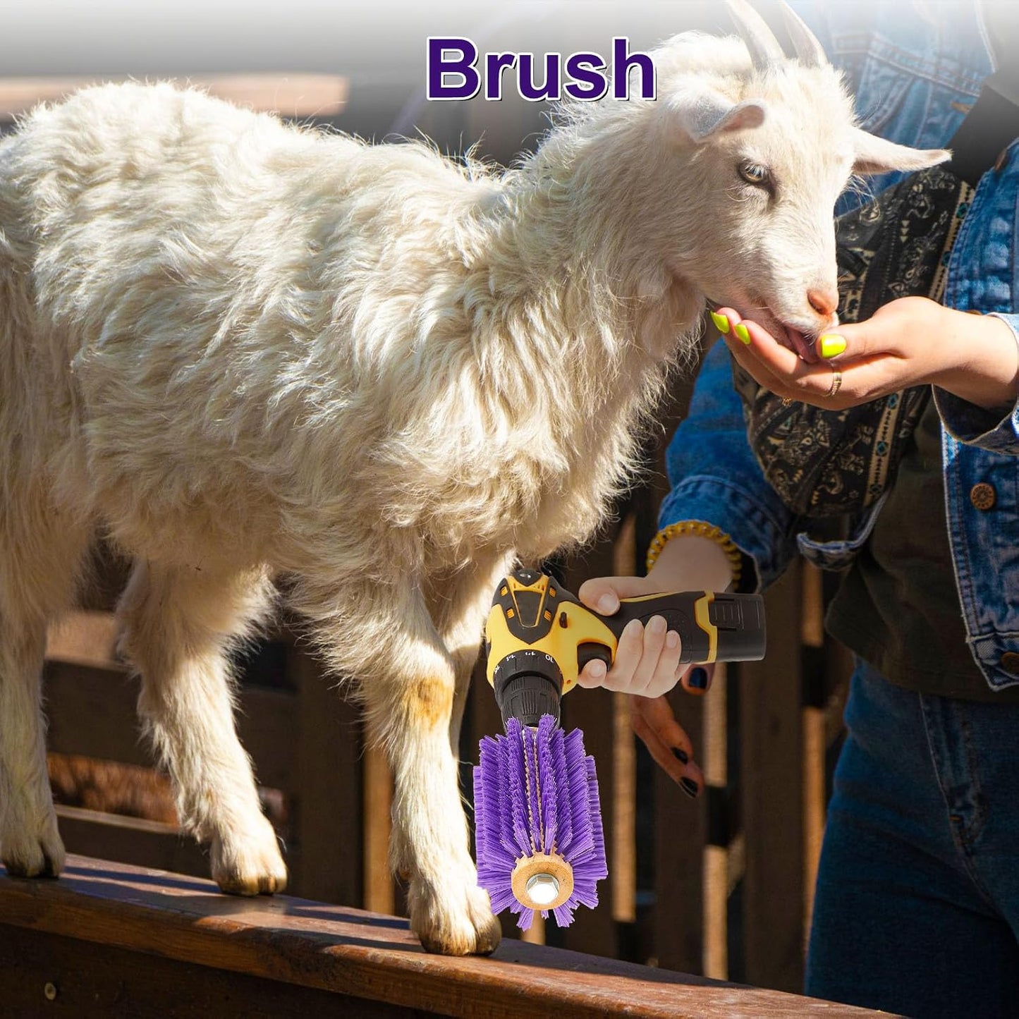 Willinglong scratch brush showing synthetic bristle design