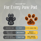 Senior dog walking confidently on hardwood floor wearing DOK paw grips