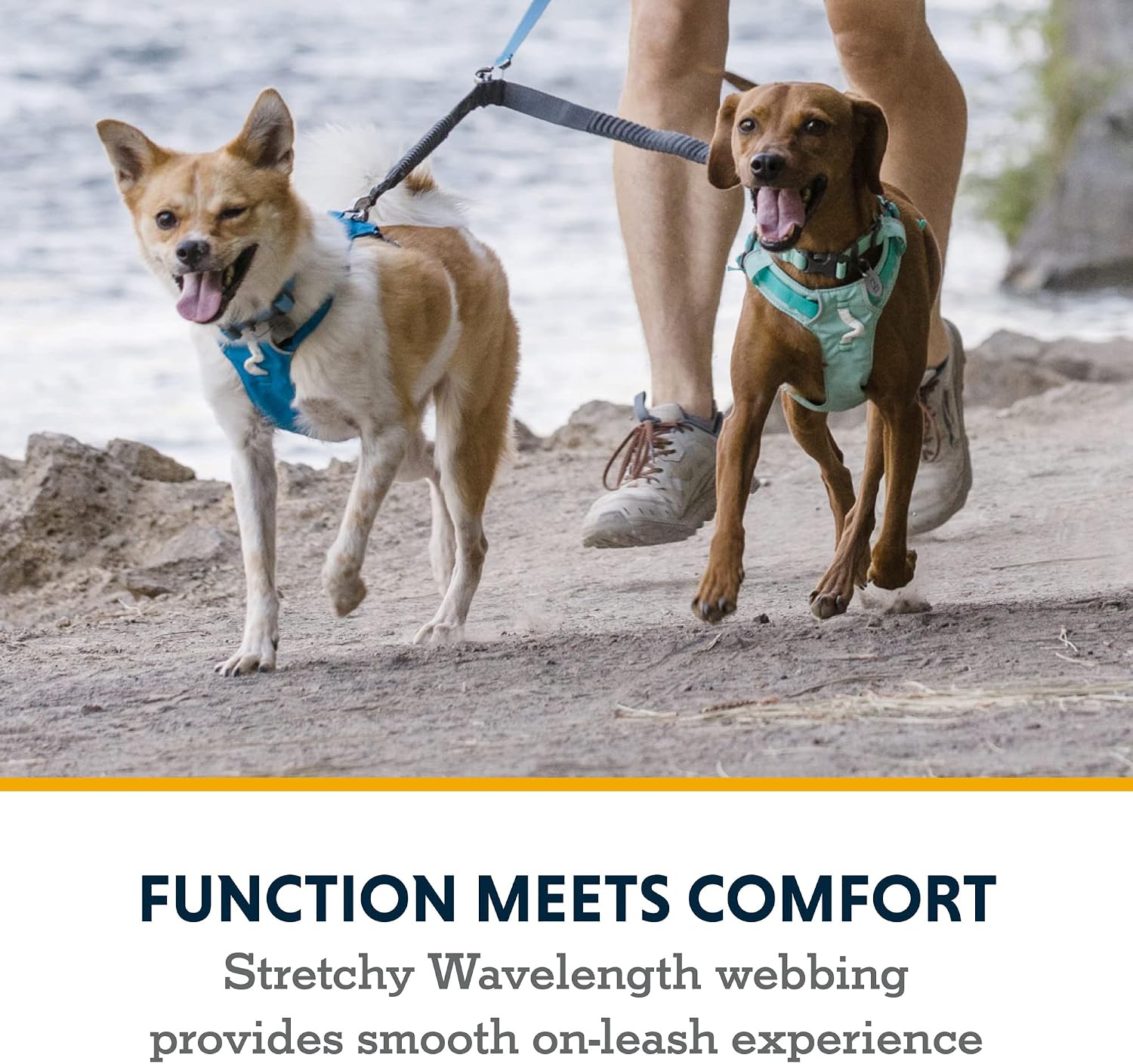 Ruffwear dual dog extension showing the swiveling lockable Crux Clips.