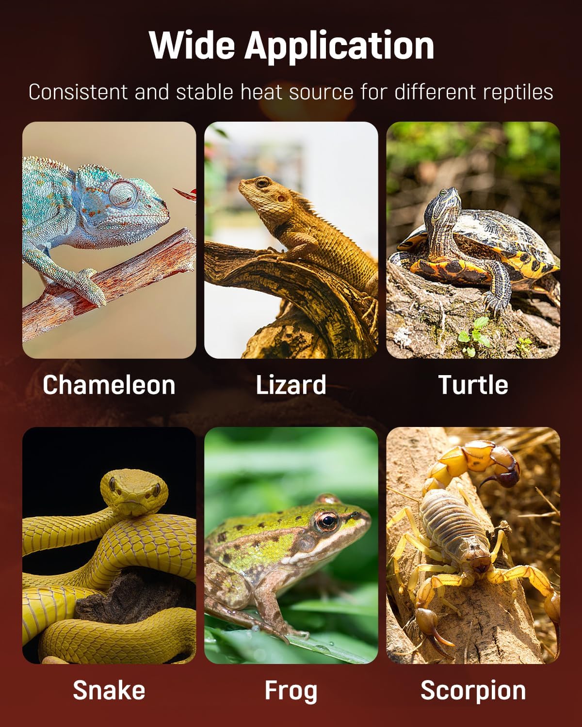 Pawfly reptile mat compact design for travel