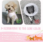 Small dog surgical onesie showing back snap button closure