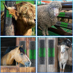 Rouisxue 2-pack gray scratch brush package for goats and sheep.