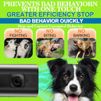 Side view of Baopilong ultrasonic pet training tool
