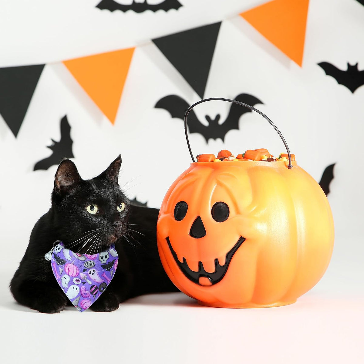 Detachable bow tie accessory for Pohshido cat collar