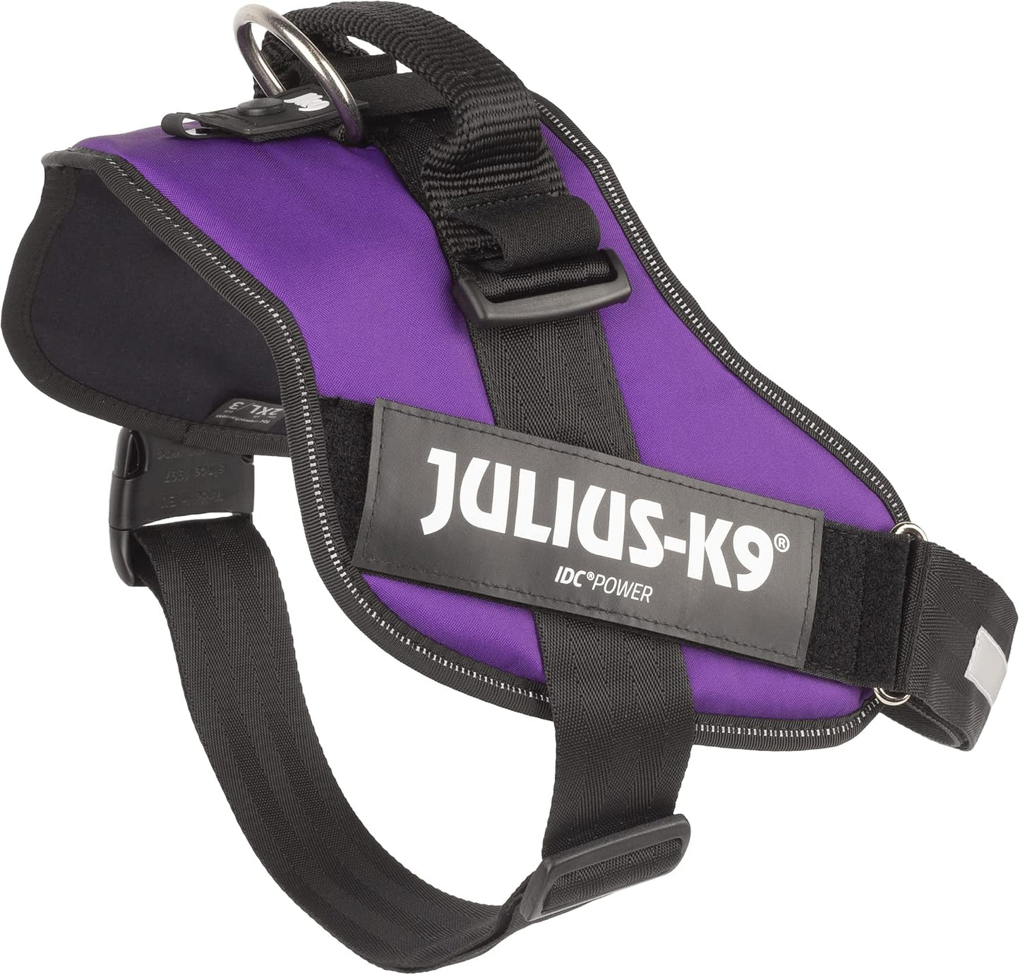 Top view of large dog wearing purple Julius-K9 harness