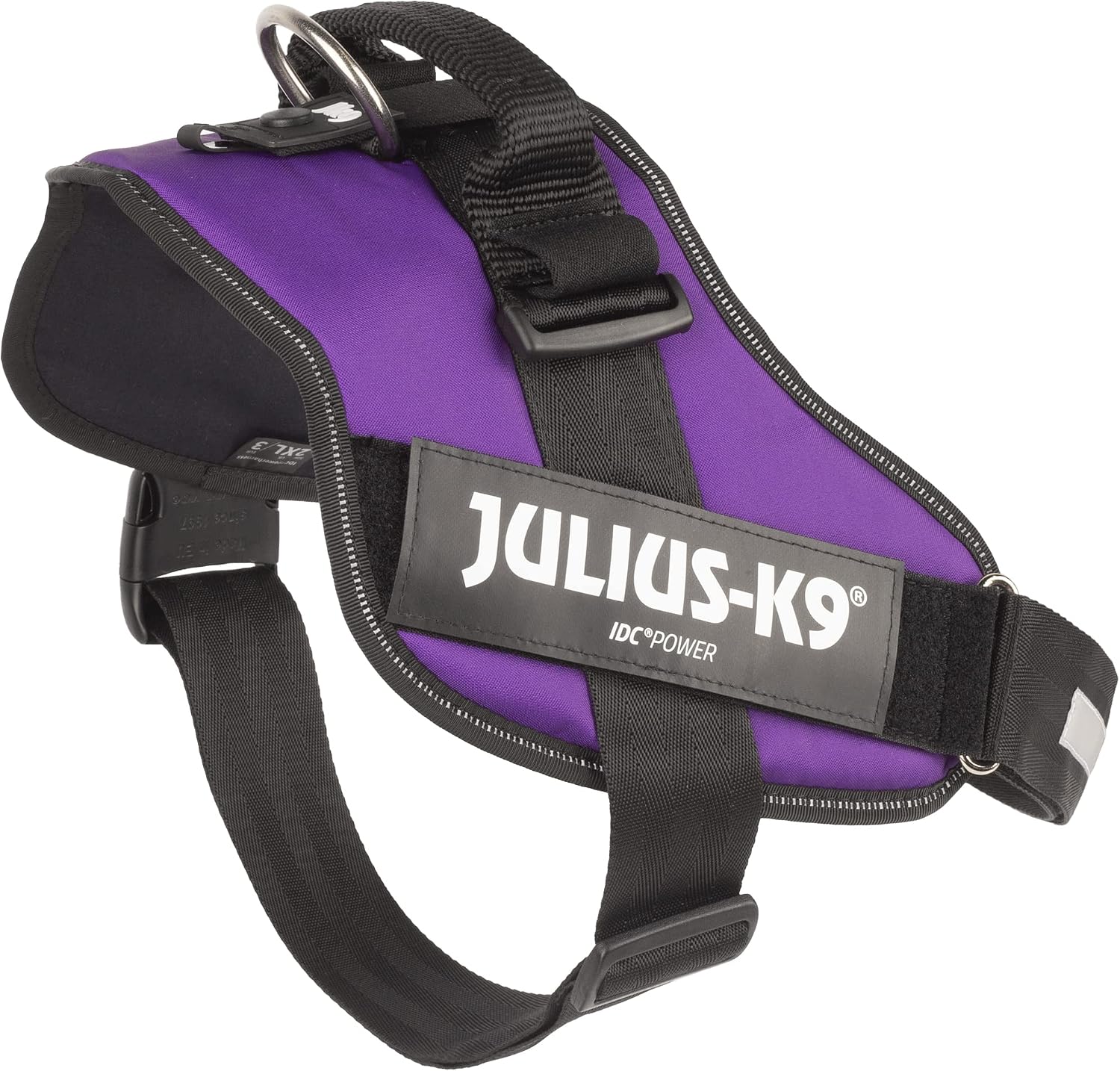 Top view of large dog wearing purple Julius-K9 harness