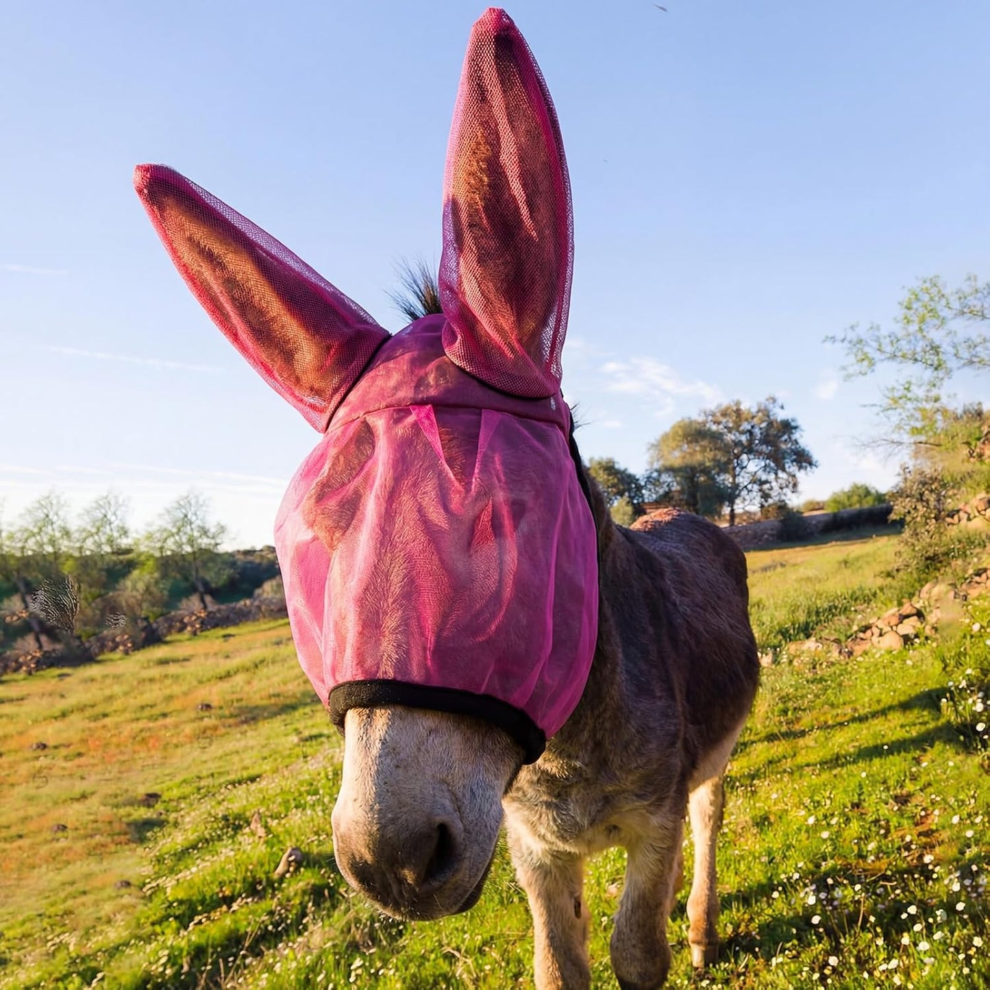 Yeyeplum rose red mini donkey fly mask with ear protection front view