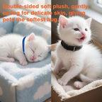 Vibrant multicolor whelping supplies designed for small breed dogs and newborn feline litters.