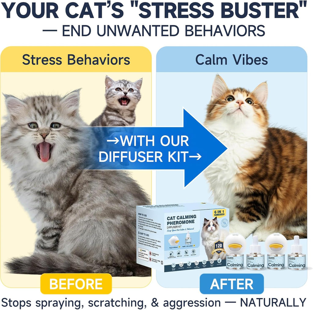 Six in one cat calming kit layout showcasing two diffusers and four forty eight milliliter pheromone liquids
