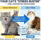 Six in one cat calming kit layout showcasing two diffusers and four forty eight milliliter pheromone liquids