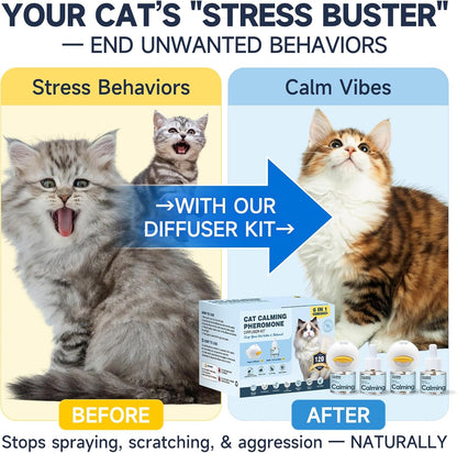 Six in one cat calming kit layout showcasing two diffusers and four forty eight milliliter pheromone liquids