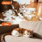Using cat training spray near indoor potted plants