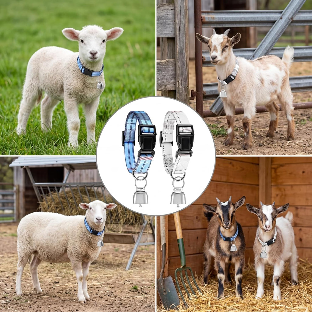 Detailed measurements graphic of the 0.98 inch wide livestock tracking collar showing length adjustment range from 13.7 to 20.5 inches.