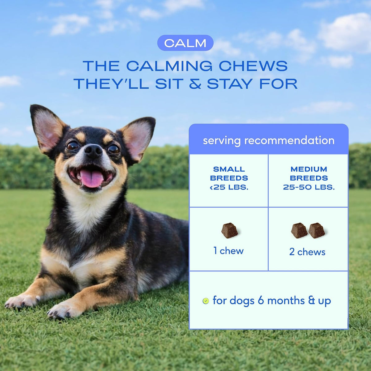 Native Pet natural sleep aid and anti anxiety puppy chews