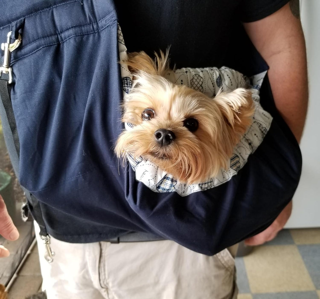 Adjustable shoulder strap detail on OrgMemory pet sling