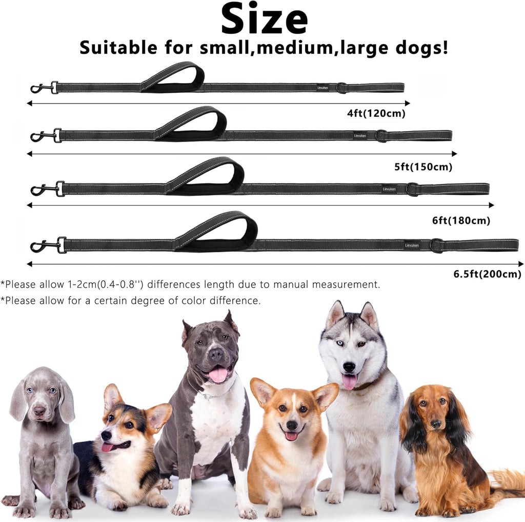 LIEVUIKEN durable double layer nylon dog leash being held at close traffic control position
