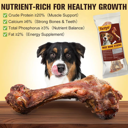 Close up of natural single ingredient beef dog chews