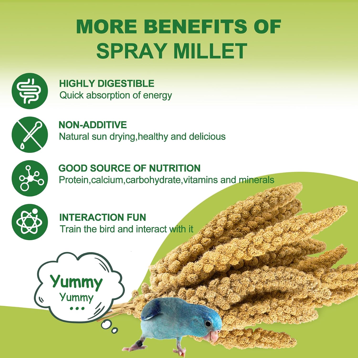 Bulk 2 Pound packaging of Meilleure bird millet treat