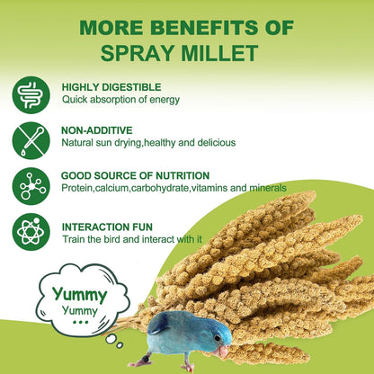Bulk 2 Pound packaging of Meilleure bird millet treat