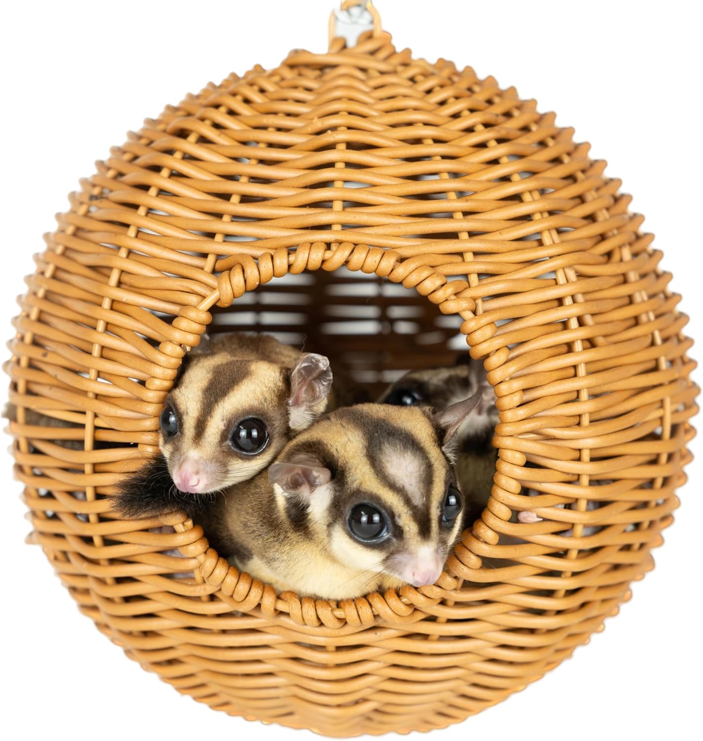 NEOUZA Sugar Glider Pouch Pet Glider Cage Sleep Bag for Small Animals Squirrels Marmosets Rats Hamsters, Metal Frame PP Rattan Durable Water Resistant Non Toxic Safe Material - Image 9