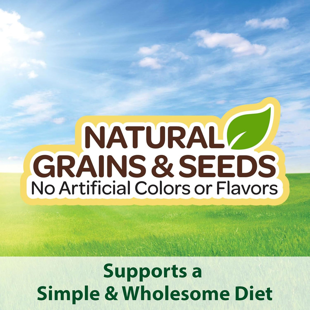 Kaytee Supreme Dove Food grain blend closeup