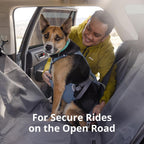 Side profile of medium dog wearing Ruffwear car safety harness