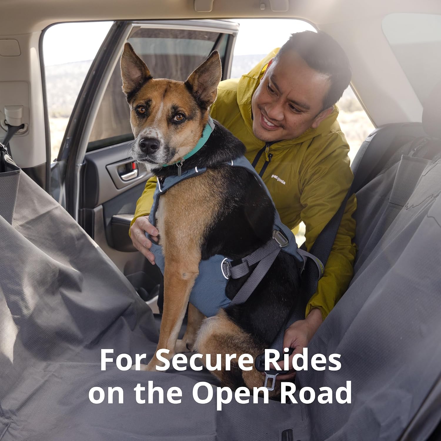 Side profile of medium dog wearing Ruffwear car safety harness