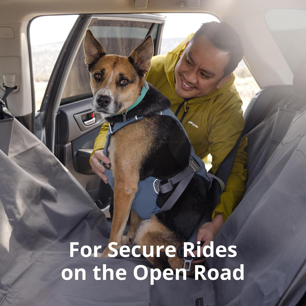 Side profile of medium dog wearing Ruffwear car safety harness