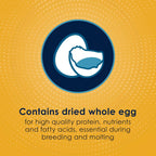 Kaytee Forti-Diet Egg-Cite seed and grain blend texture