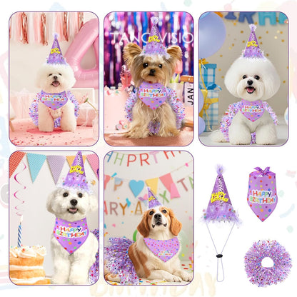 Girl dog birthday dress package showing three piece celebration accessories