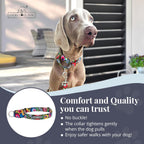 Authentic USA imported Lucky Love Dog adjustable walking collar in Blackbird design.