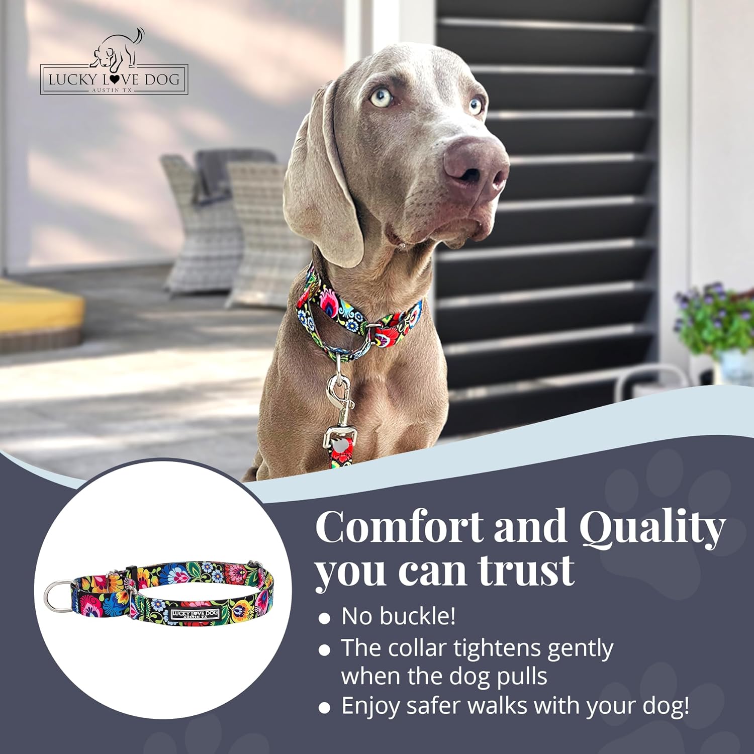 Authentic USA imported Lucky Love Dog adjustable walking collar in Blackbird design.