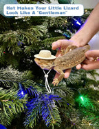 HAEZU miniature lizard outfit tailored for iguanas and small pocket pets.
