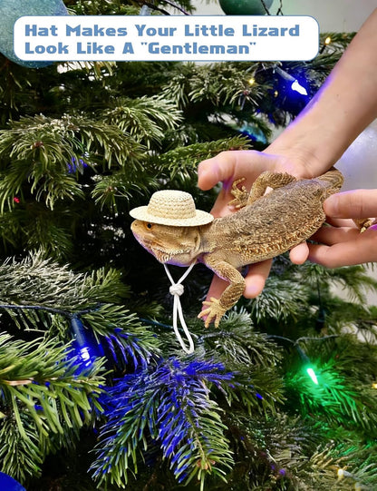HAEZU miniature lizard outfit tailored for iguanas and small pocket pets.