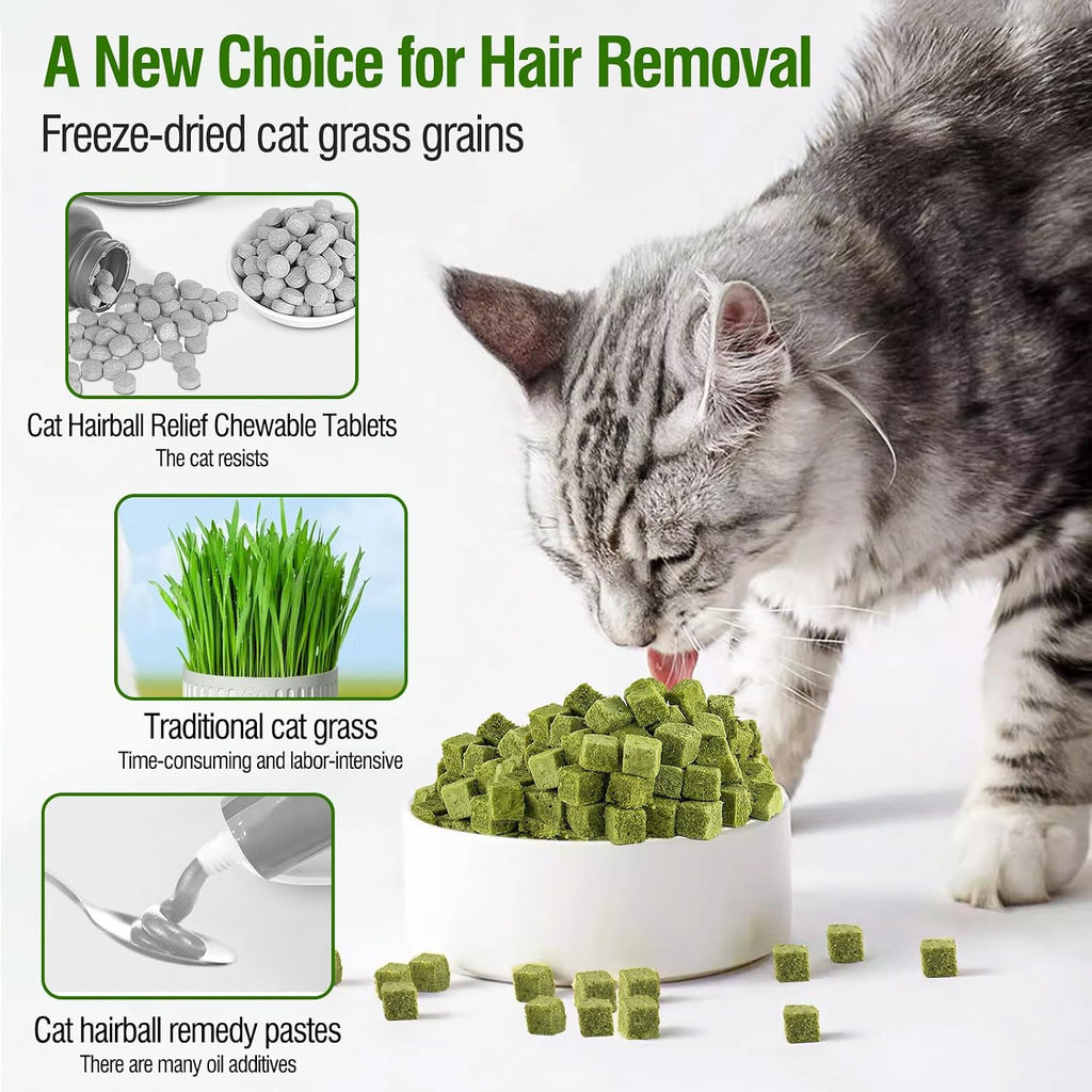 Premium imported digestive health cat chew snacks on a clean background
