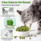 Premium imported digestive health cat chew snacks on a clean background