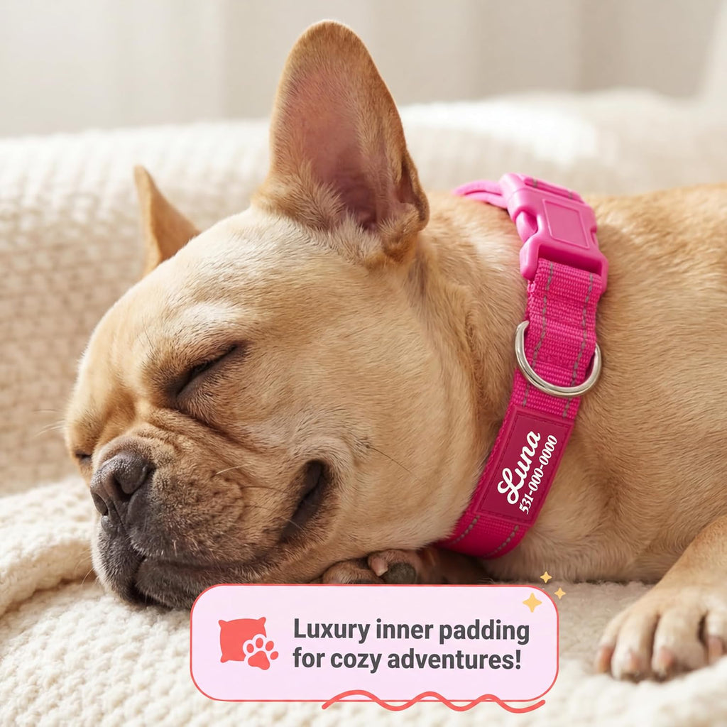 Adjustable metal buckle on Pawblefy dog collar