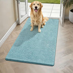 Clean floor area with Bcoimo cat mat at indoor entrance