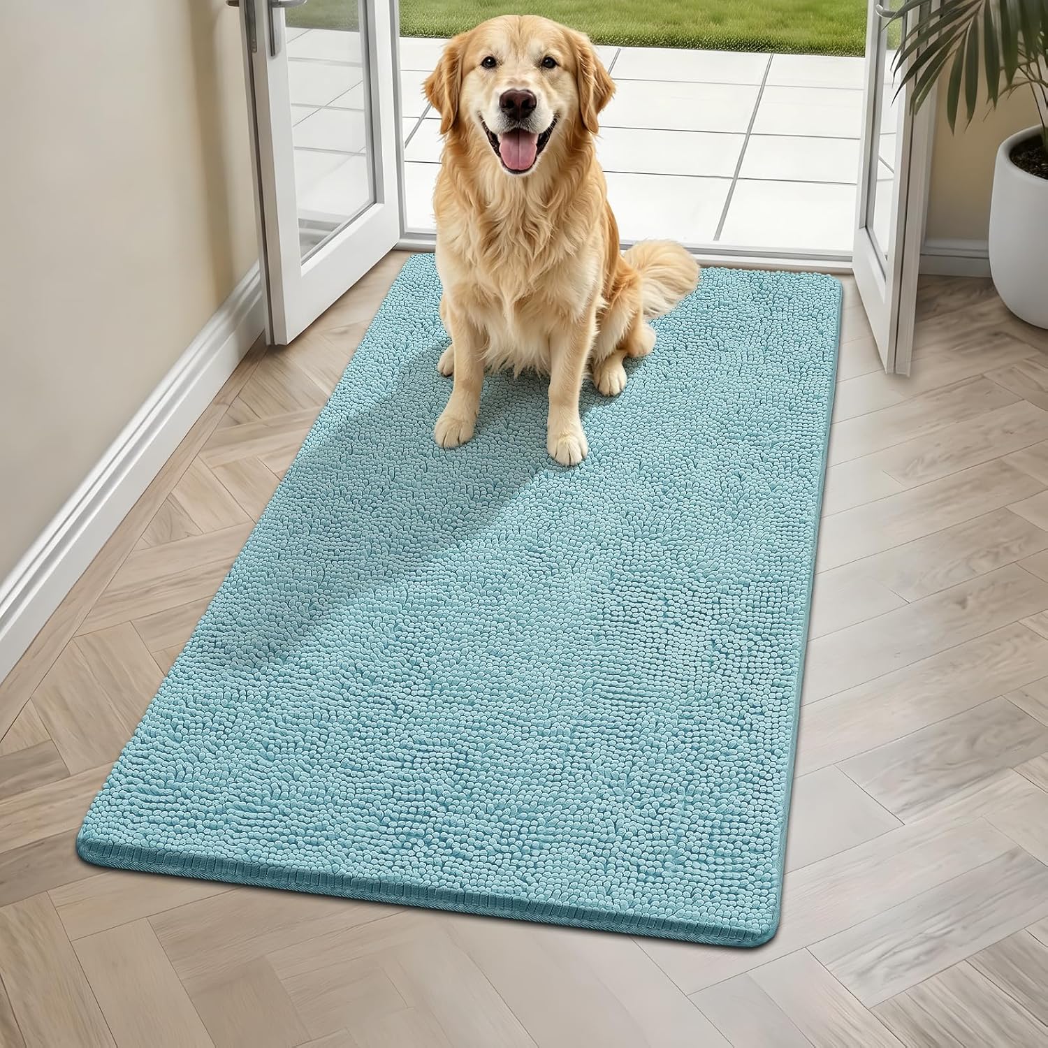 Clean floor area with Bcoimo cat mat at indoor entrance