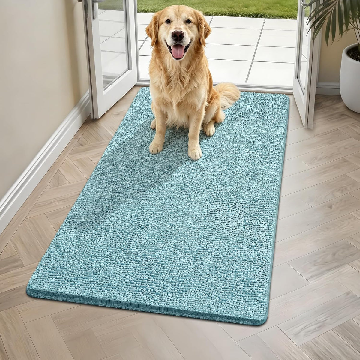 Clean floor area with Bcoimo cat mat at indoor entrance