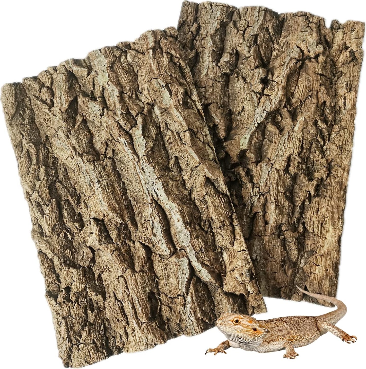 Fhiny cork bark background panels for reptile tanks front view