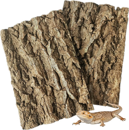 Fhiny cork bark background panels for reptile tanks front view