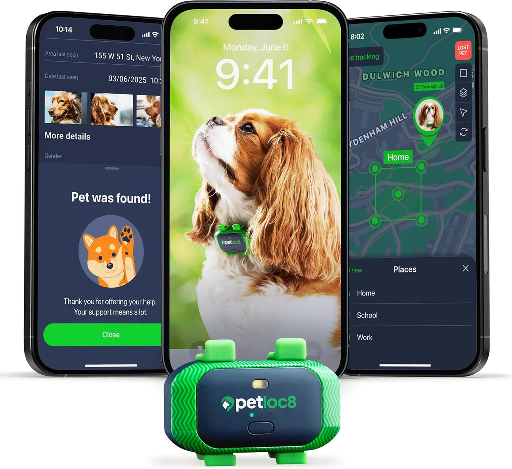 Petloc8 dog GPS tracker front view with green and black design