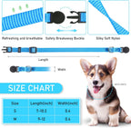 GAMUDA whelping collar assorted colors pack