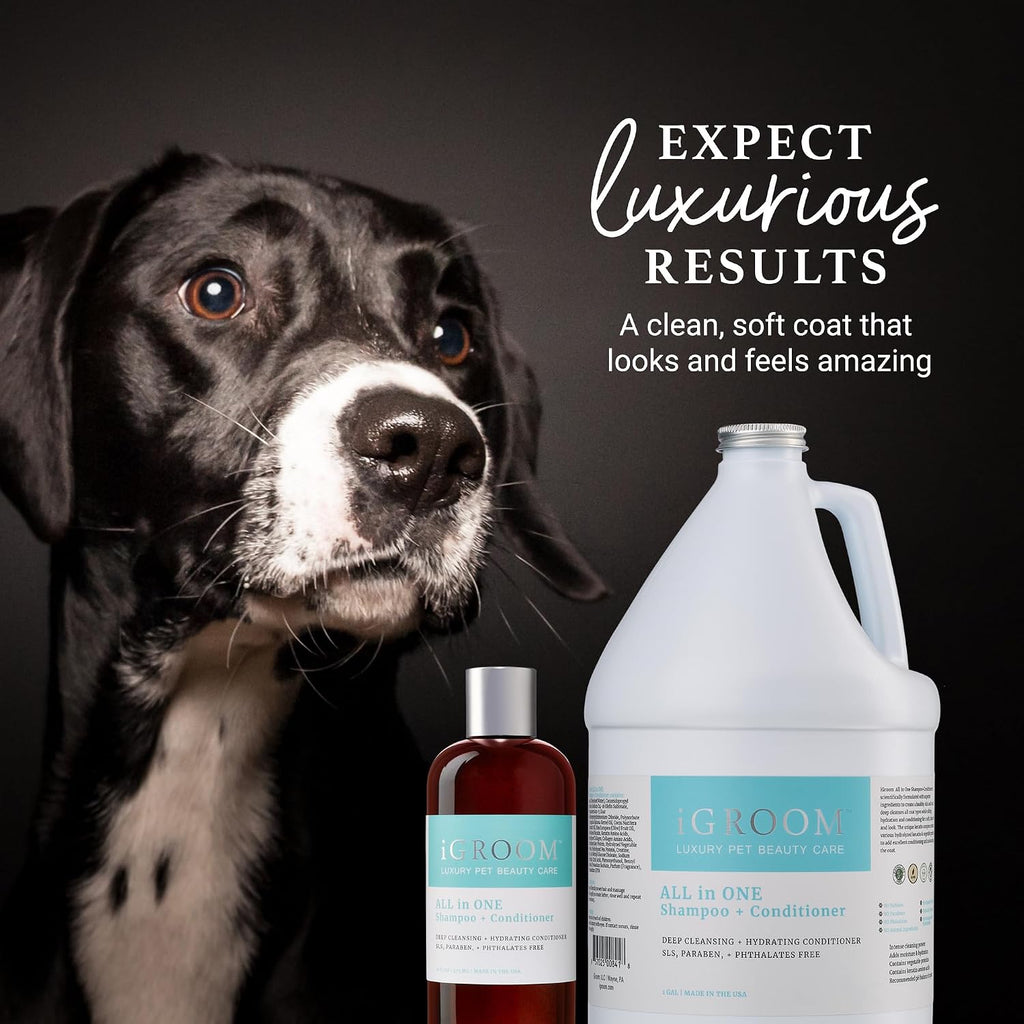 Professional pet grooming setup with iGroom gallon shampoo