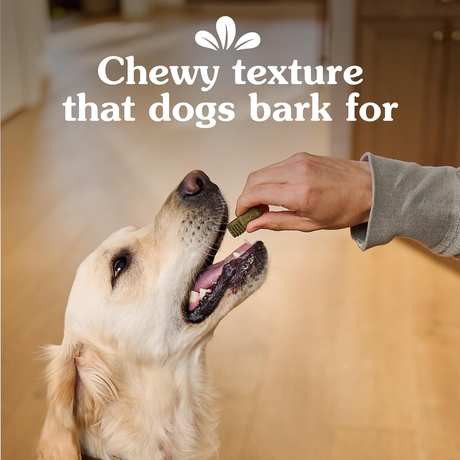 Imported Greenies anytime bites blueberry flavor premium pet snack