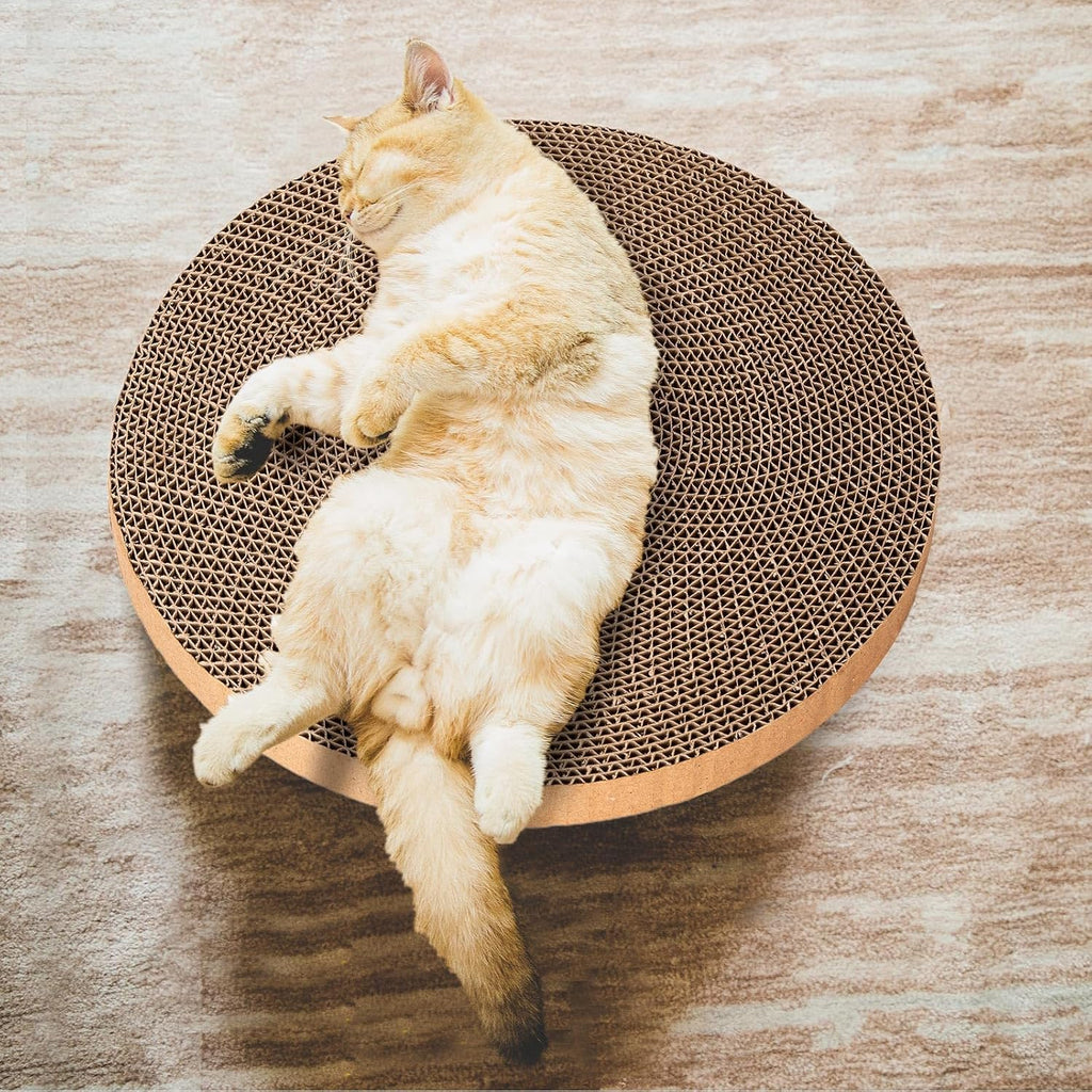Cat scratching on circular cardboard pad placed on floor