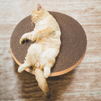 Cat scratching on circular cardboard pad placed on floor