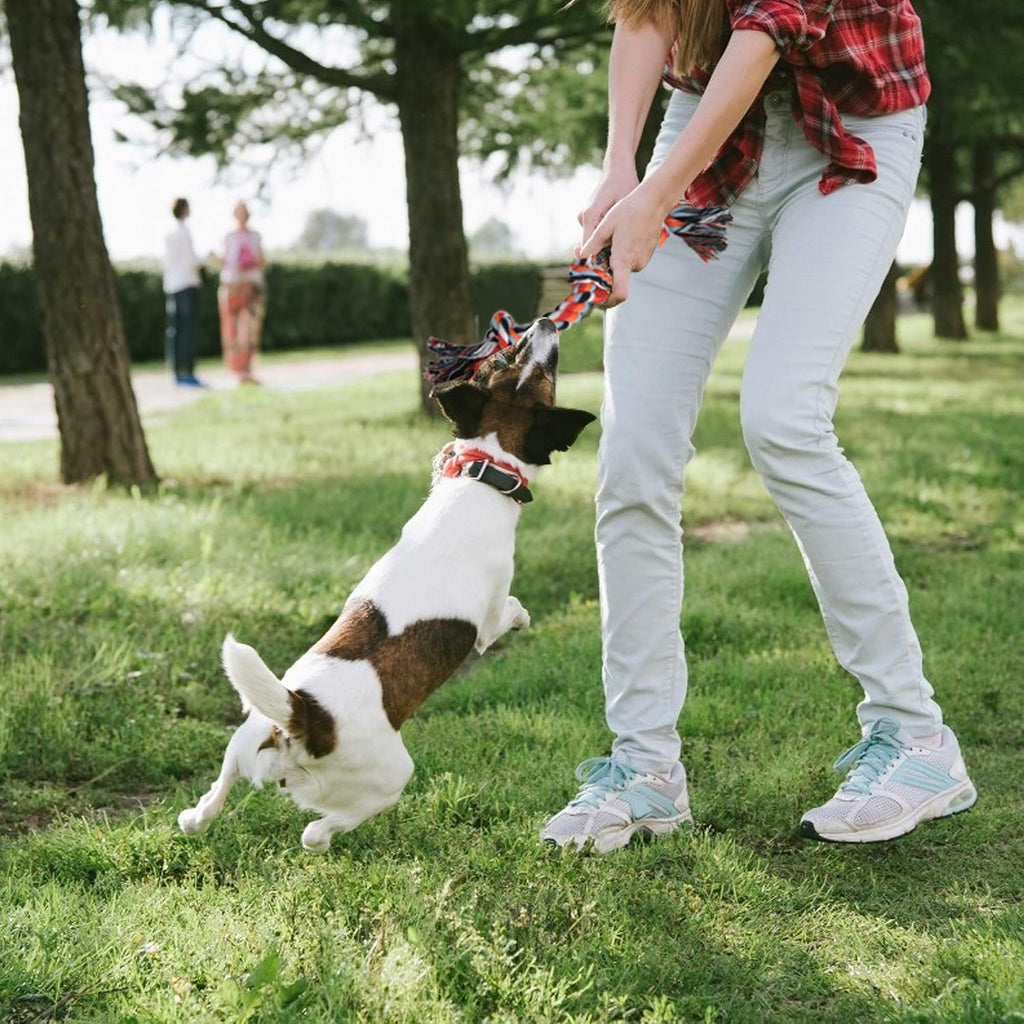 TwoEar heavy duty dog teething ropes showing vibrant braided cotton fibers from a side angle