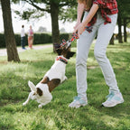 TwoEar heavy duty dog teething ropes showing vibrant braided cotton fibers from a side angle